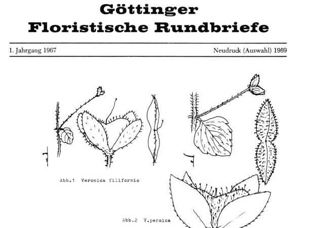 Cover der ersten Ausgabe der Floristischen Rundbriefe