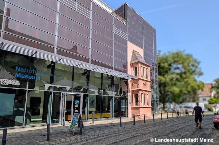 Naturhistorisches Museum Mainz